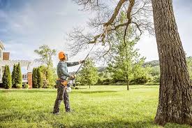 Professional Tree Removal and Landscaping Services in Westbrook, ME